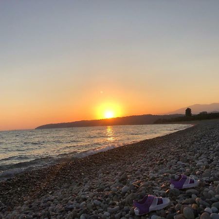 غوداوتا Solnechny Bereg Guest House المظهر الخارجي الصورة