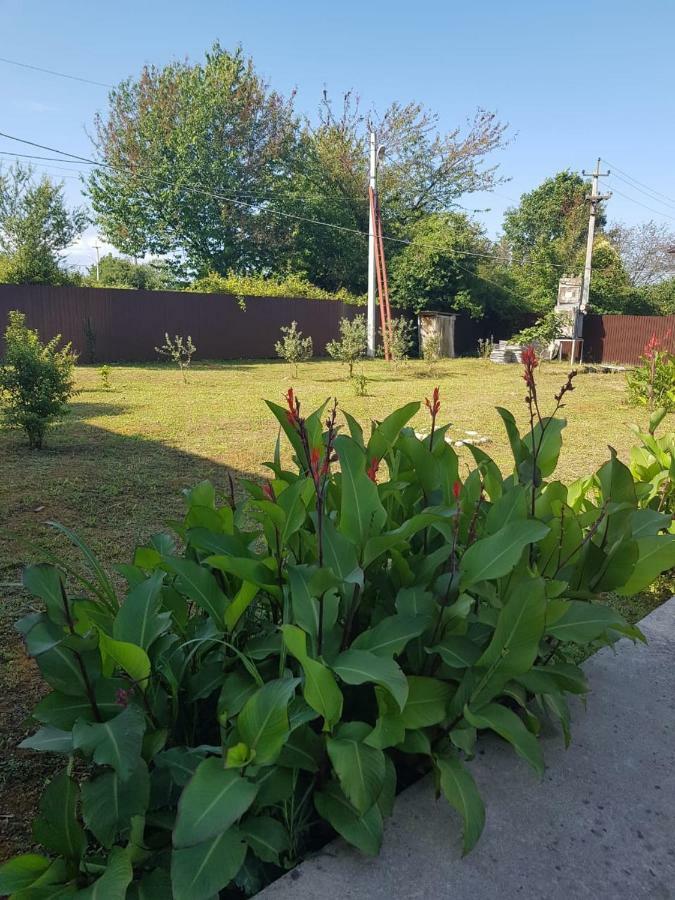 غوداوتا Solnechny Bereg Guest House المظهر الخارجي الصورة