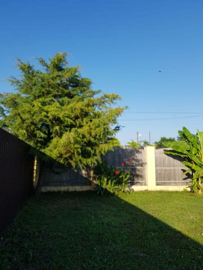 غوداوتا Solnechny Bereg Guest House المظهر الخارجي الصورة