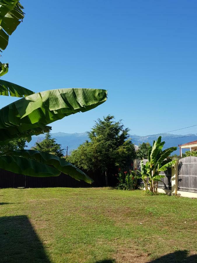 غوداوتا Solnechny Bereg Guest House المظهر الخارجي الصورة